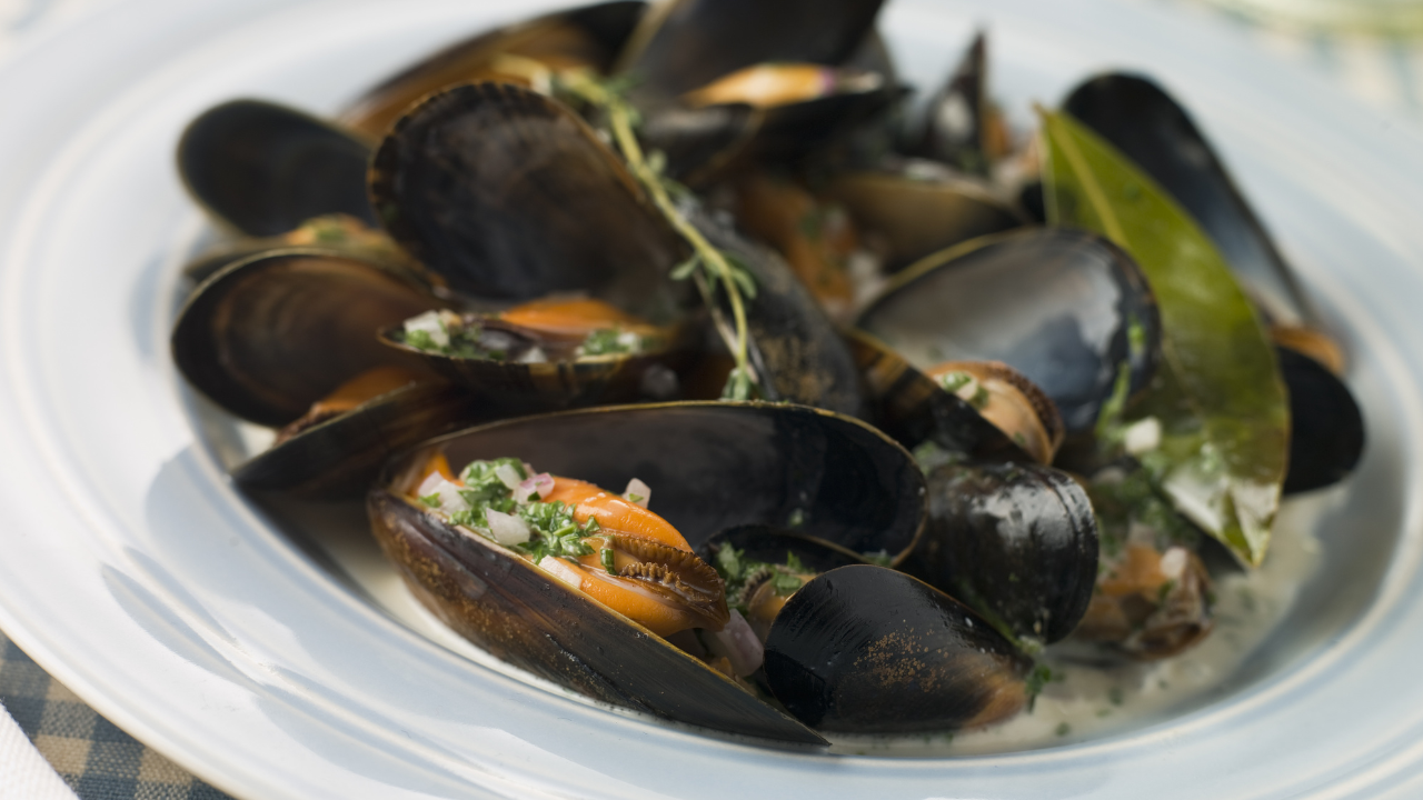 Mussels-in-Cream-Sauce