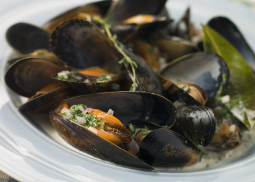 Mussels-in-Cream-Sauce