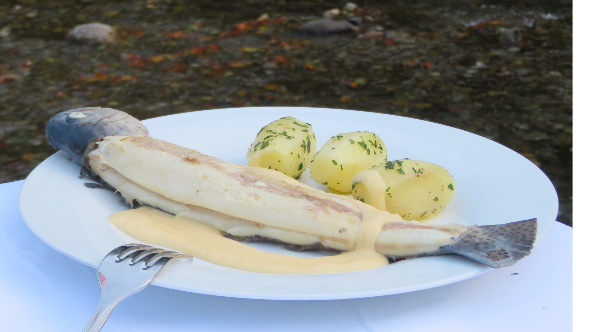 Poached-Trout-with-Hollandaise-Sauce-1