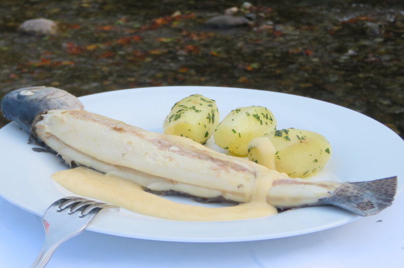 Poached Trout with Hollandaise Sauce | TRUITE POCHÉE, SAUCE HOLLANDAISE