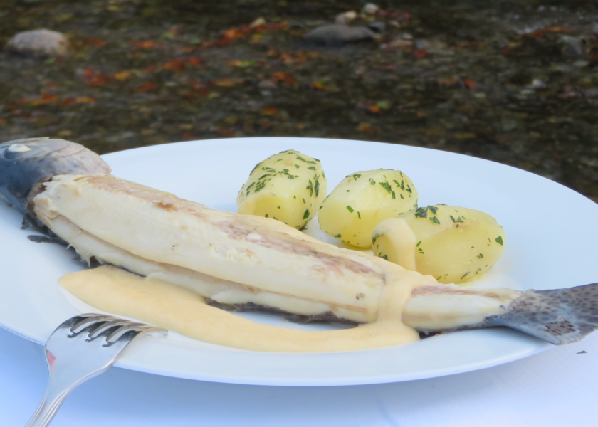 Poached-Trout-with-Hollandaise-Sauce-1