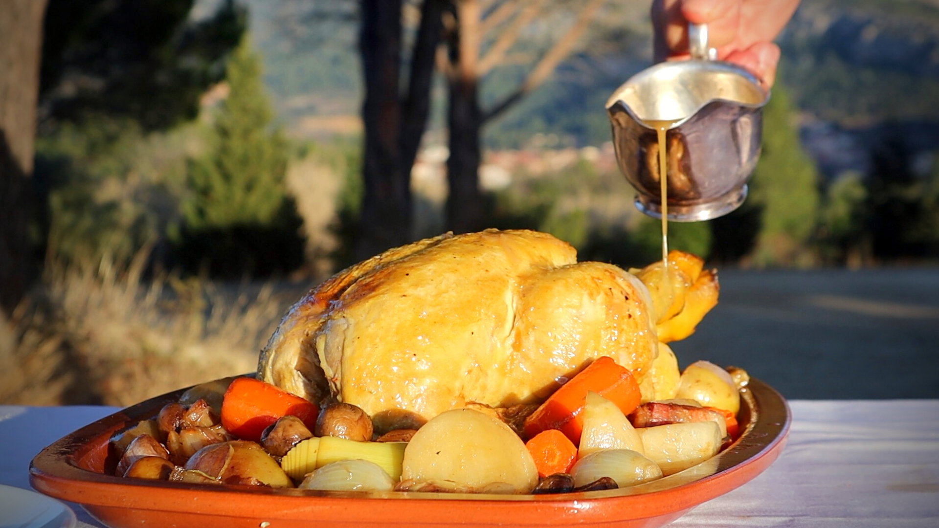 Pot-Roast-Chicken-with-Vegetables